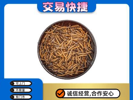 北京市海淀高价回收散虫草