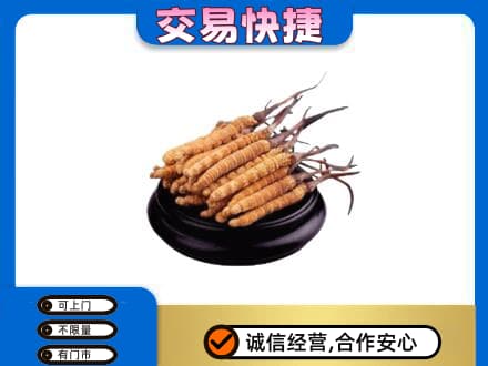 北京市海淀回收冬虫夏草多少钱每克